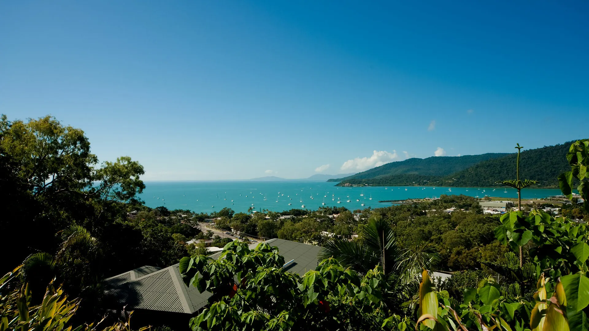 Sea Star Apartments Airlie Beach Lägenhetshotell